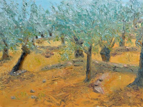 Olive Trees at Mixaniona